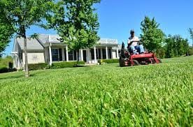 landscaping job